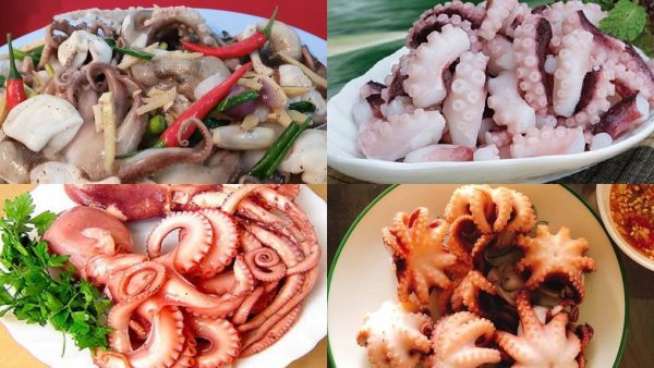 Bạch tuộc